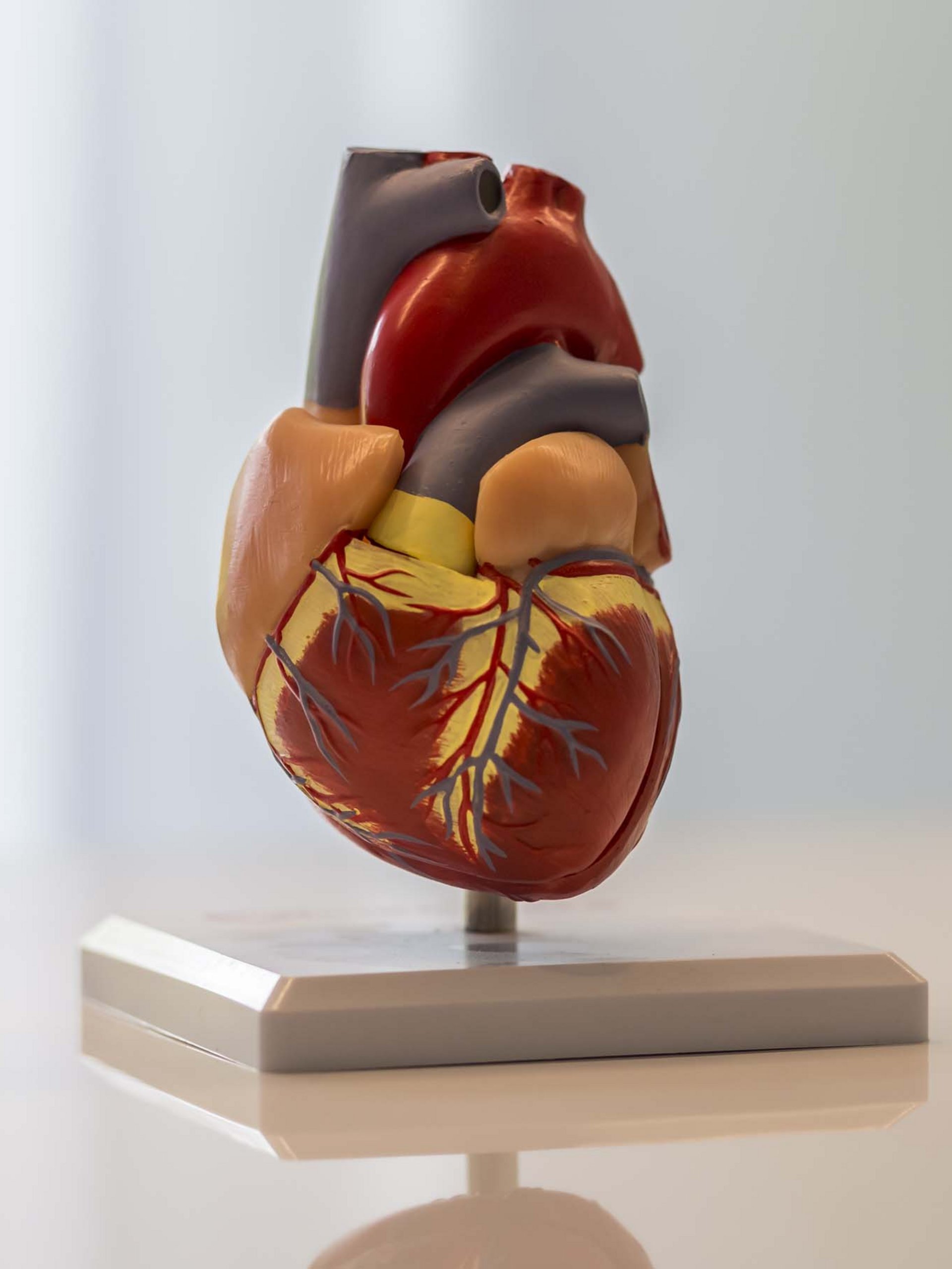 Ihr Hotel an der Zugspitze in Deutschland Ihr Hotel an der Zugspitze in Deutschland