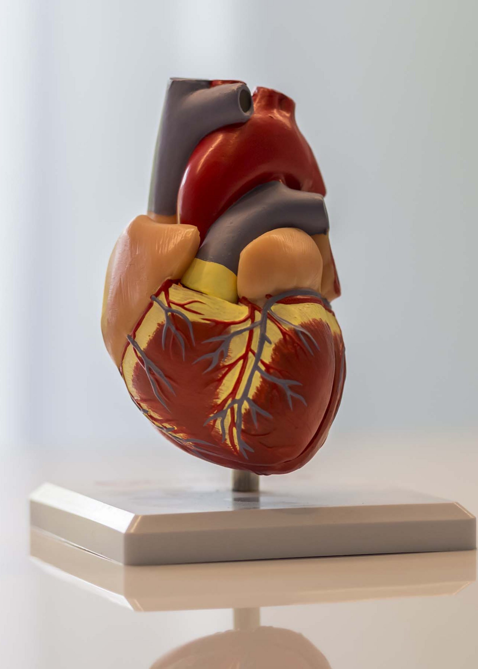 Ihr Luxushotel in Oberbayern mit Saunawelt Ihr Luxushotel in Oberbayern mit Saunawelt