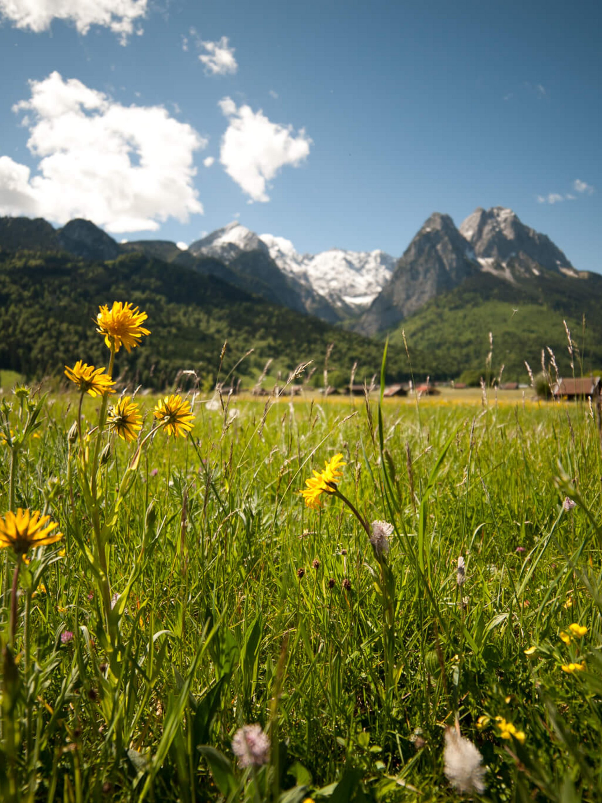 Langlauf in Garmisch Langlauf in Garmisch