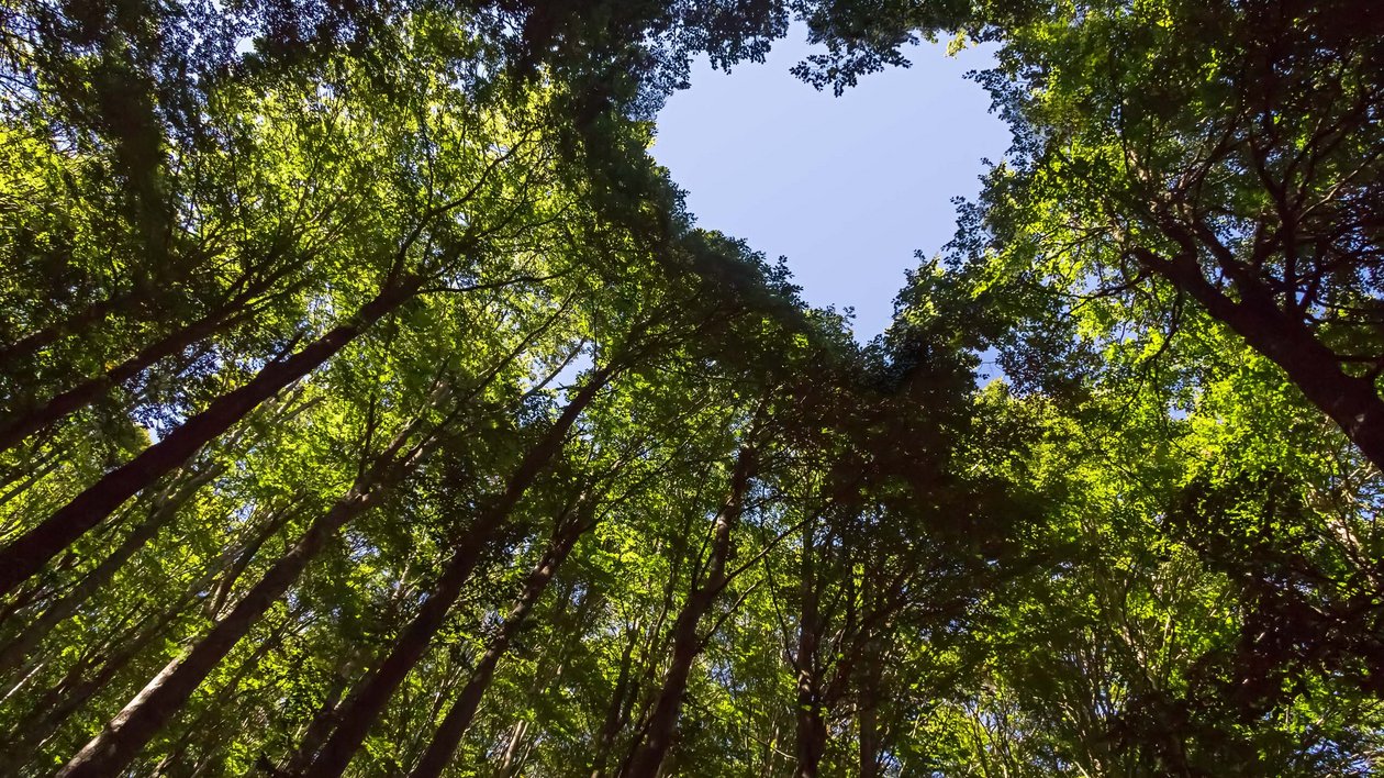 Kurwochenende in Garmisch-Partenkirchen Kurwochenende in Garmisch-Partenkirchen