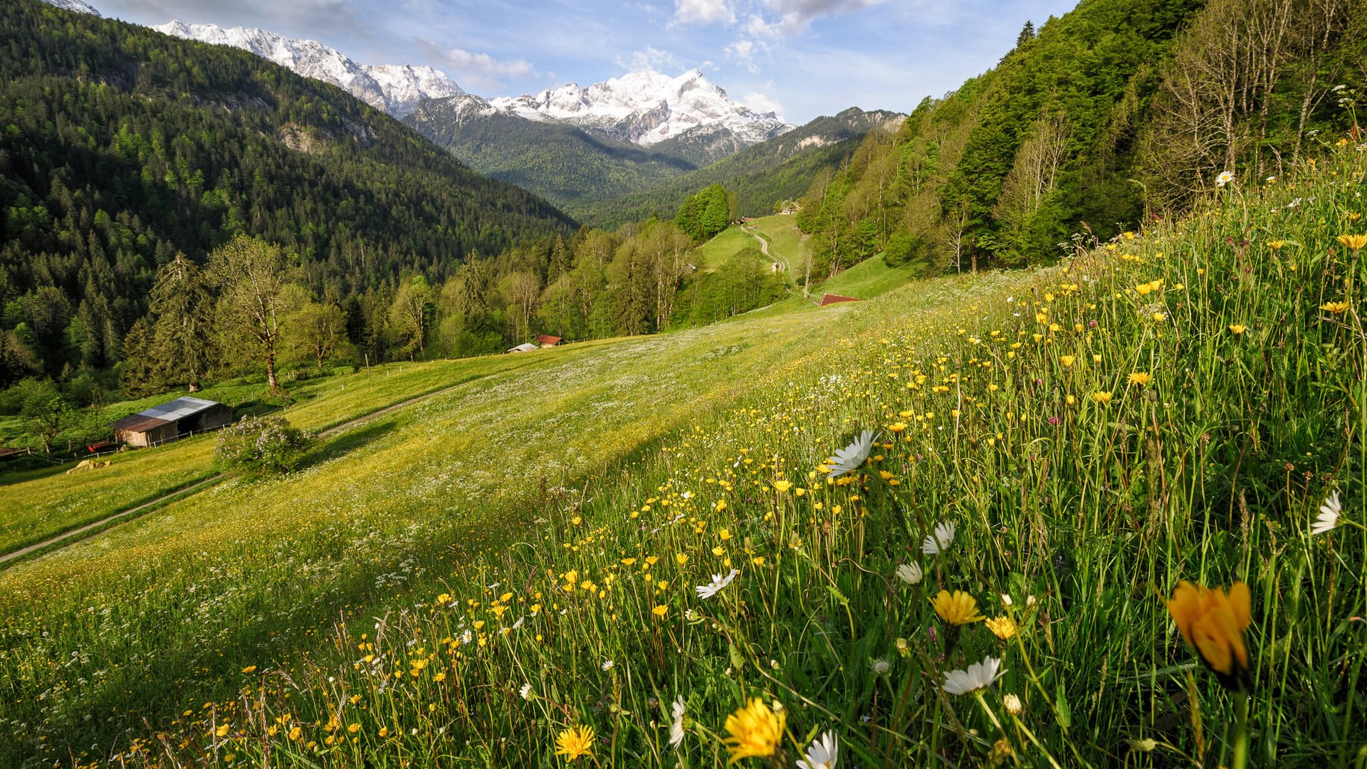 Kinderfreundliches Wellnesshotel in Bayern gesucht? Kinderfreundliches Wellnesshotel in Bayern gesucht?